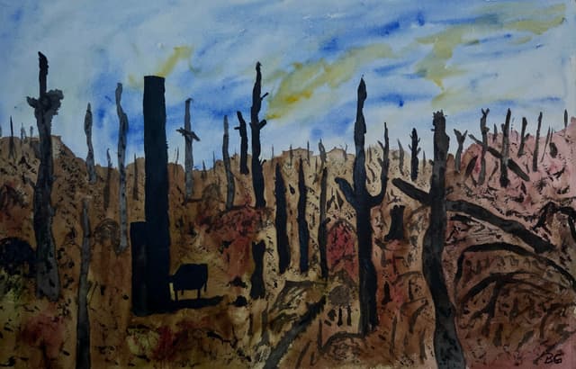 Byggnad efter skogsbrand